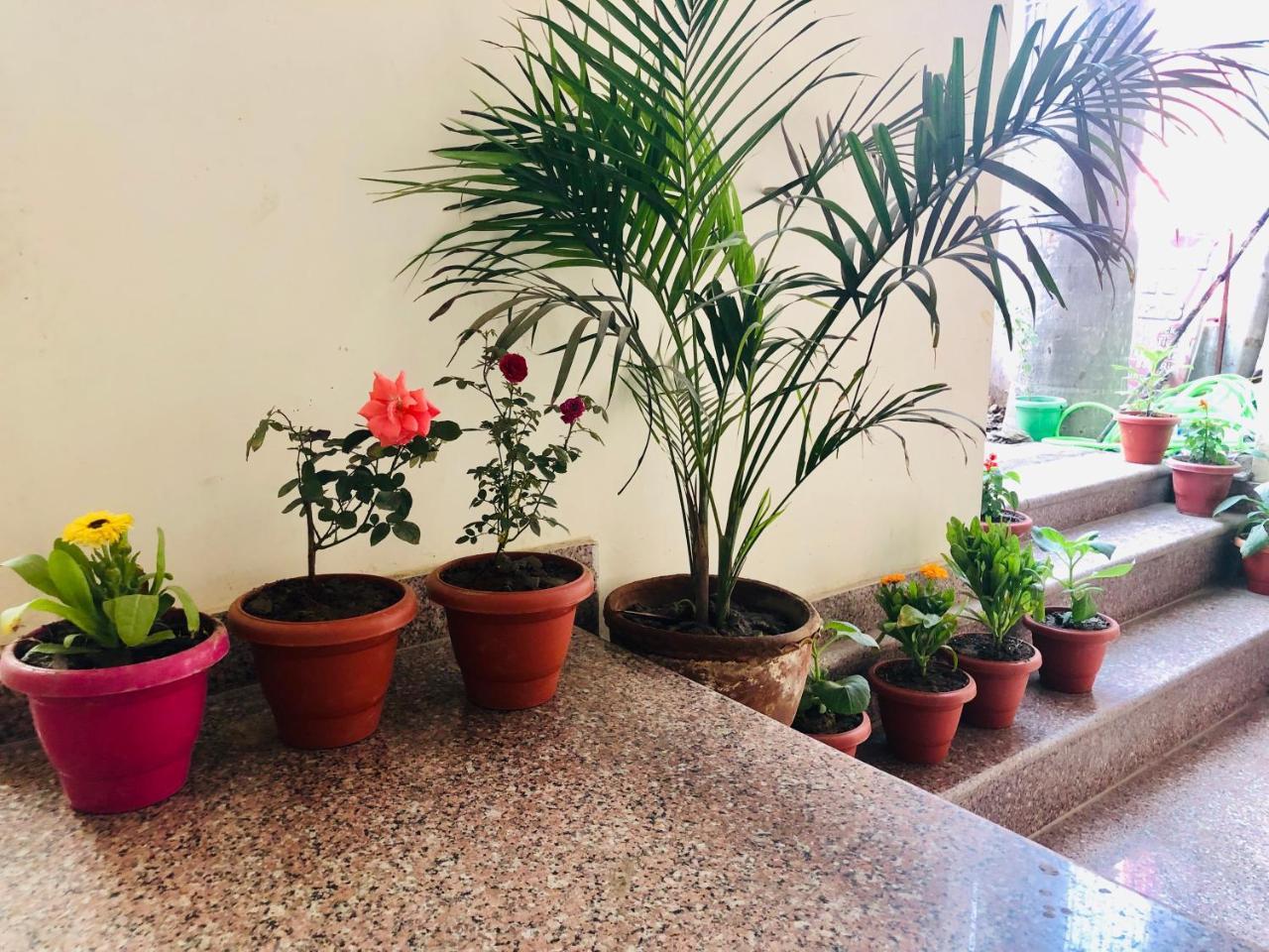 Gangotri Paying Guest House Varanasi Exteriör bild