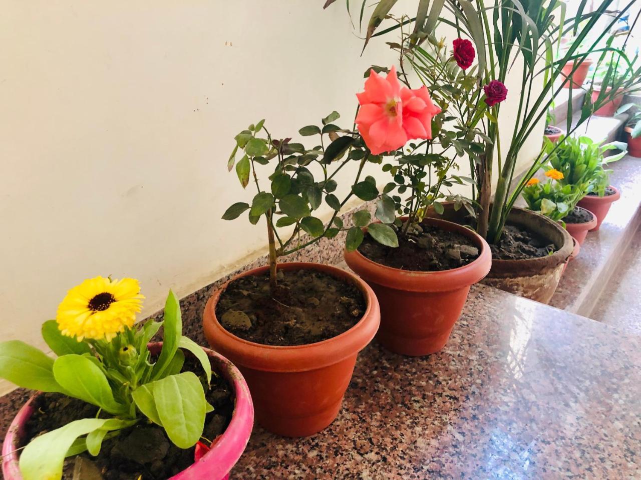 Gangotri Paying Guest House Varanasi Exteriör bild